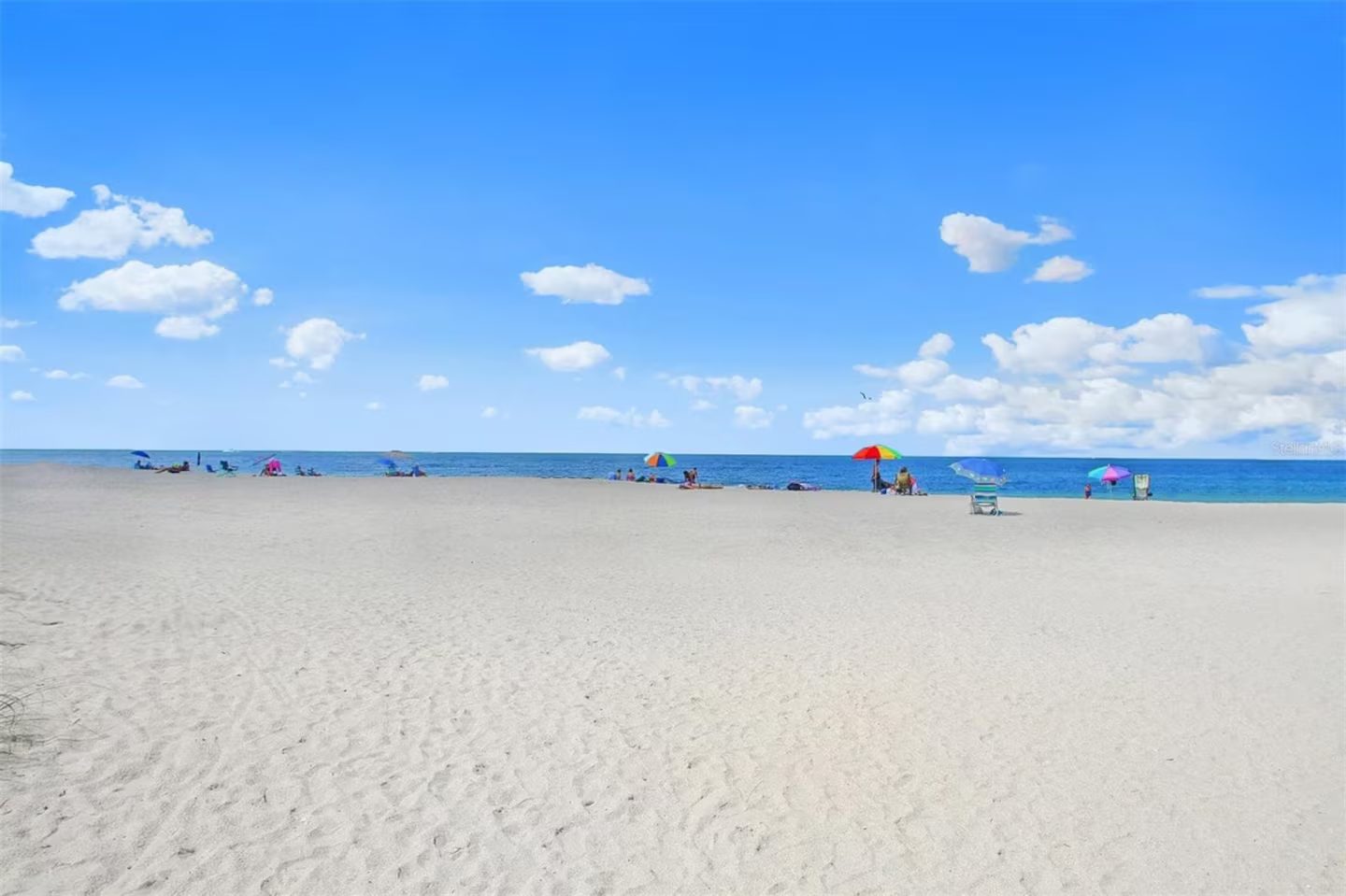 Casey Key Island House! Short Term Rental photo 47