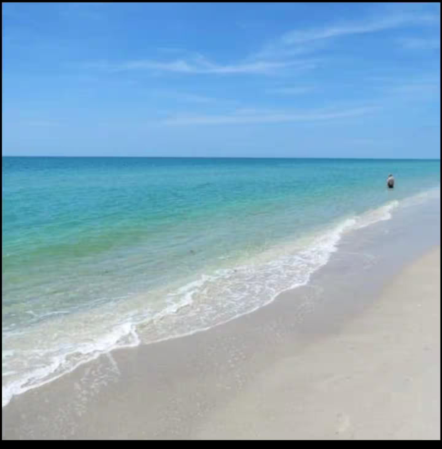Englewood Florida near Manasota Key Beach Cottage! Short Term Rental photo 13